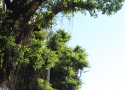 1xbet体育官网登录网址-包含深圳队在比赛中展现出团队凝聚力和实力的词条