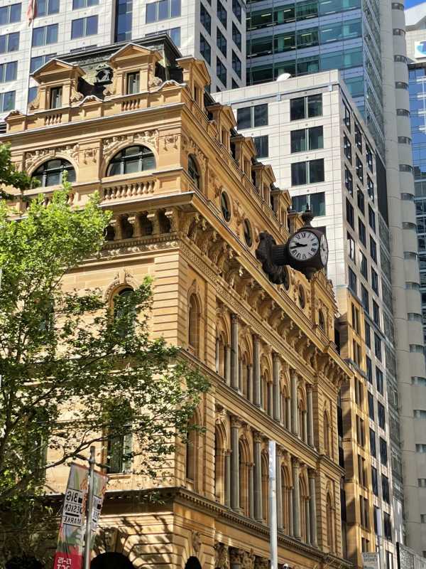 塔斯马尼亚联连续不败，争冠形势一片大好的简单介绍